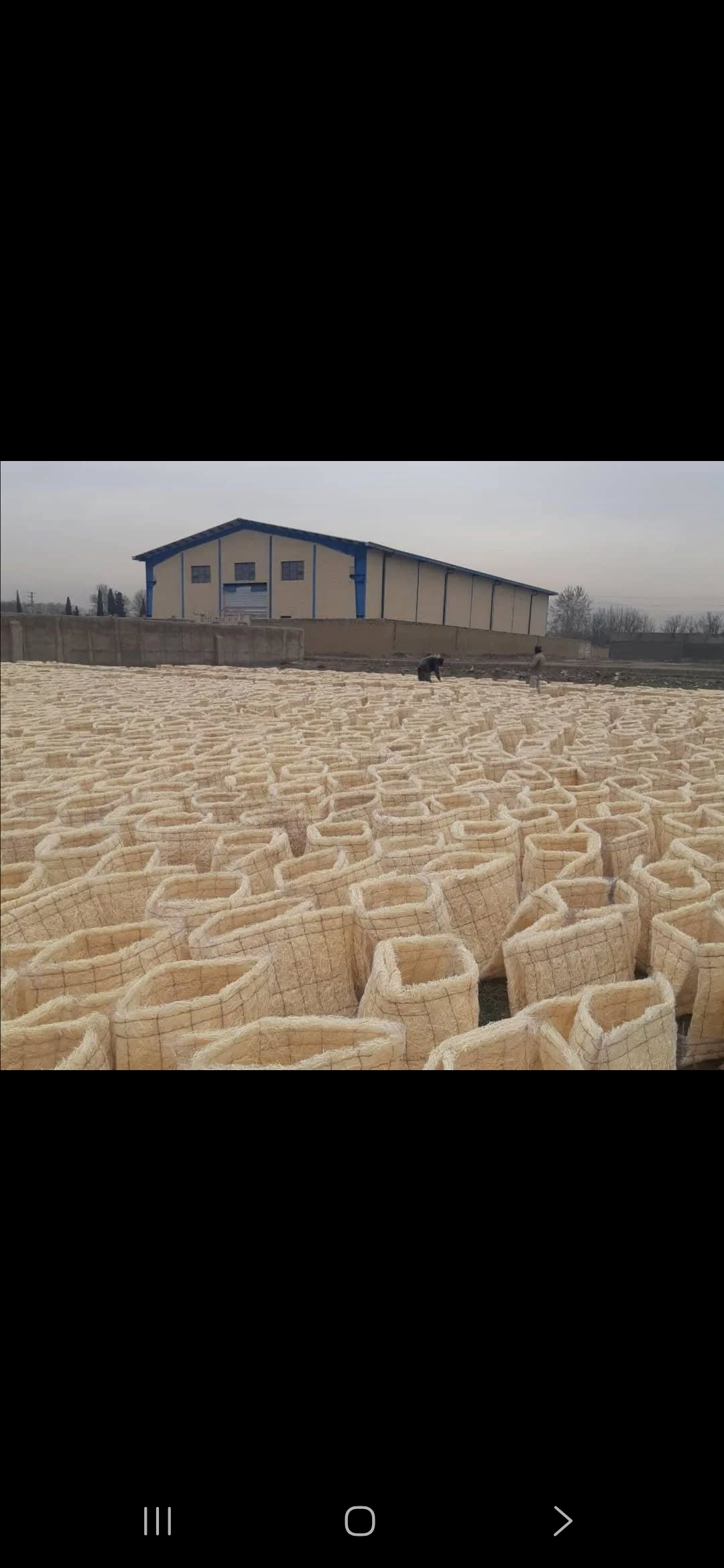 قش مکيف صحراوي لباد مبرد المياه گل قاسمي