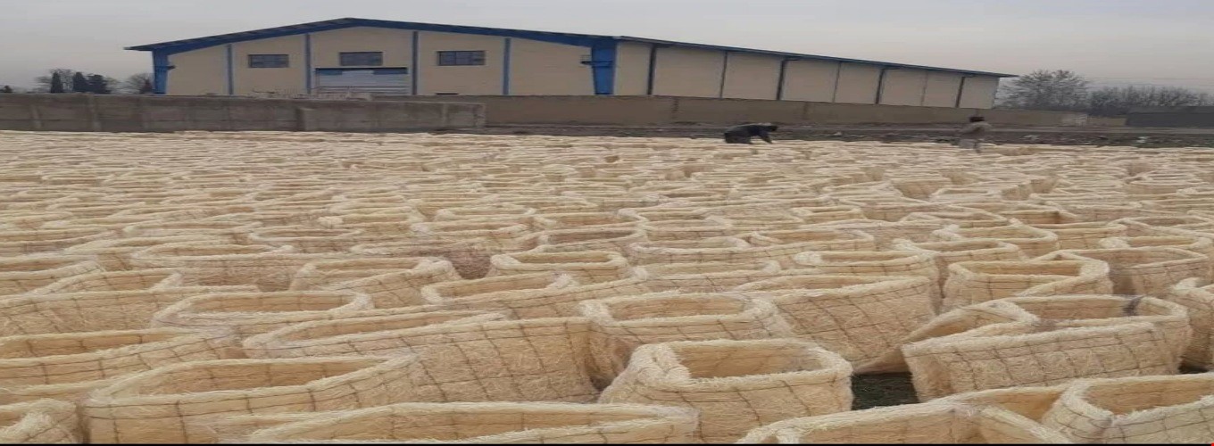 تماس با ما ☎️ 09191087795 گل قاسمی.......