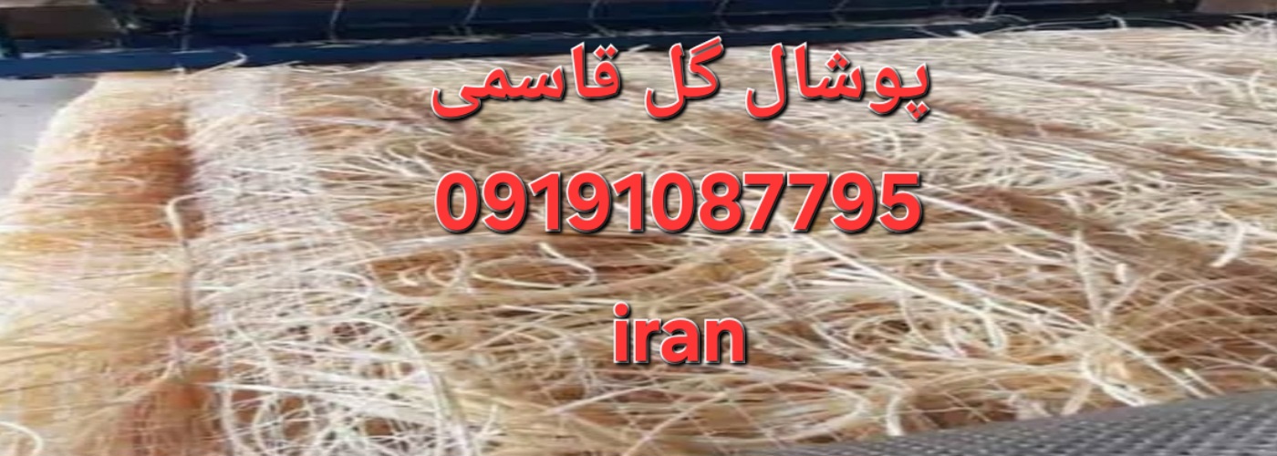 تماس ☎️ ما